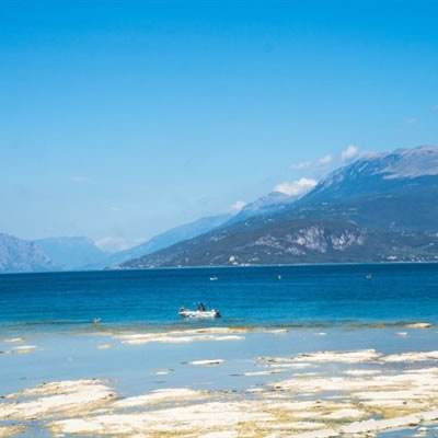 麻将胡了app下载手机版截图