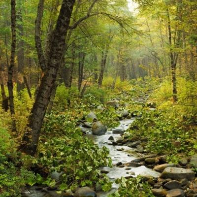 香港2023正版免费资料手机app下载