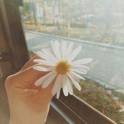 皇冠体育HG2022App